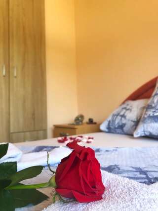 Апартаменты Apartments Simic Каменари Стандартные апартаменты-1